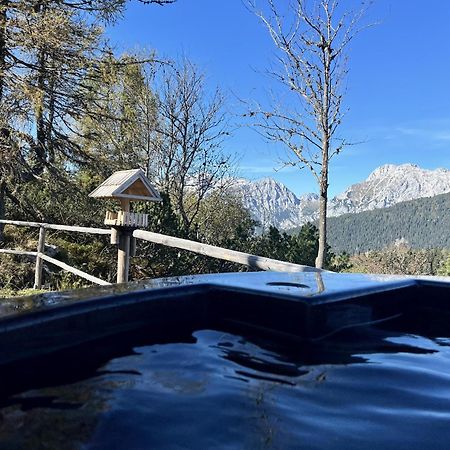 Chalet Orlica Velika Planina Stahovica Eksteriør bilde