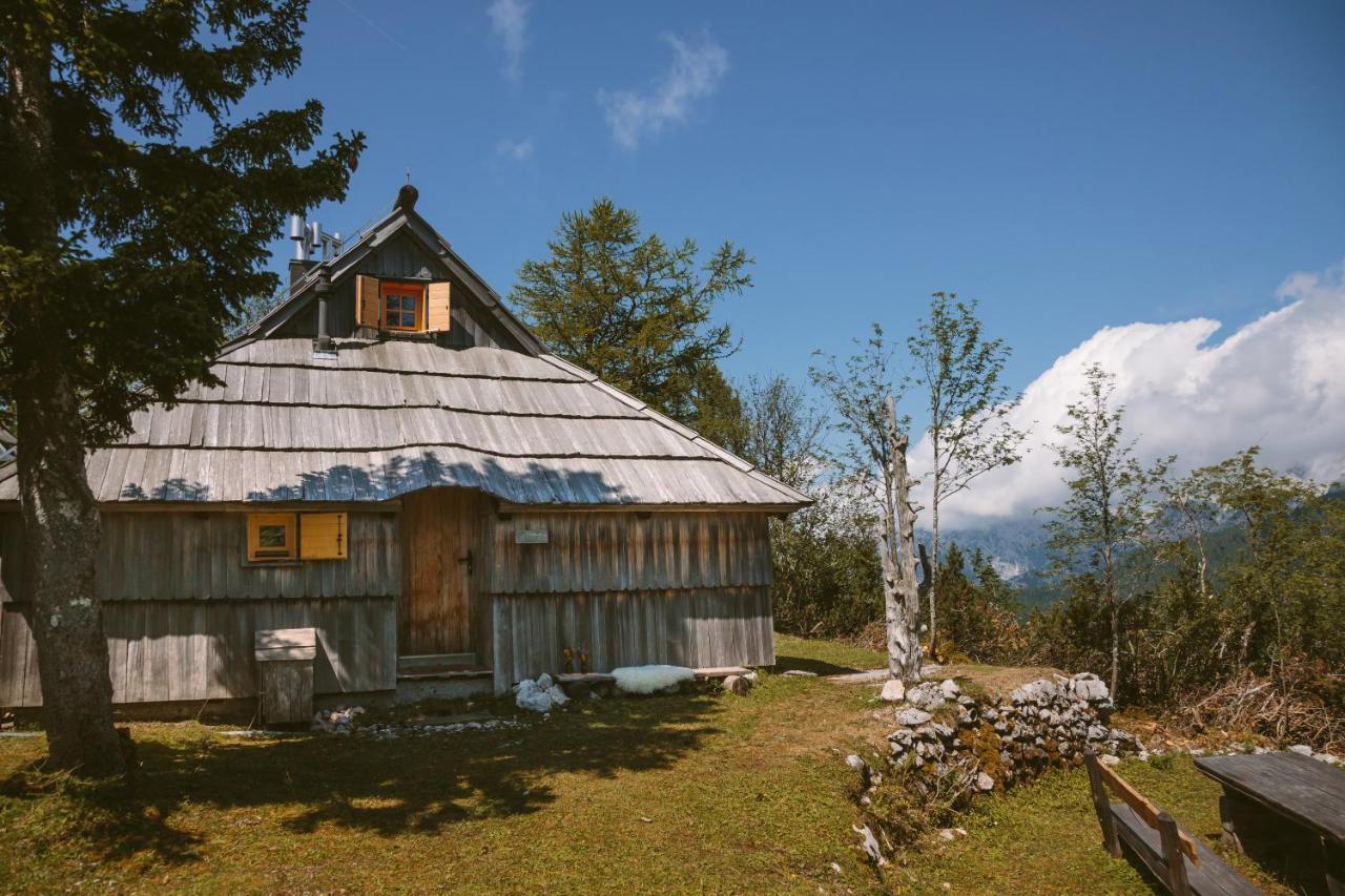 Chalet Orlica Velika Planina Stahovica Eksteriør bilde