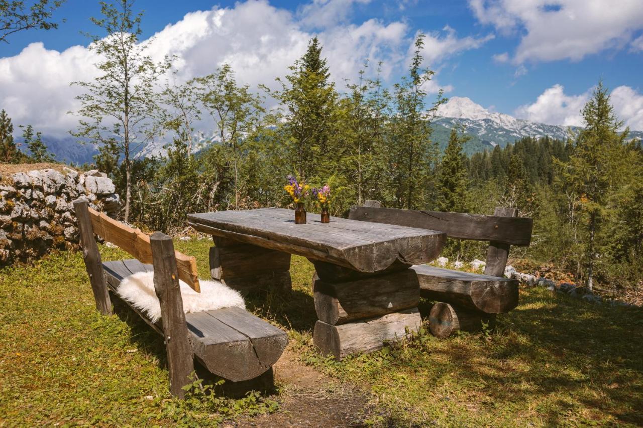 Chalet Orlica Velika Planina Stahovica Eksteriør bilde