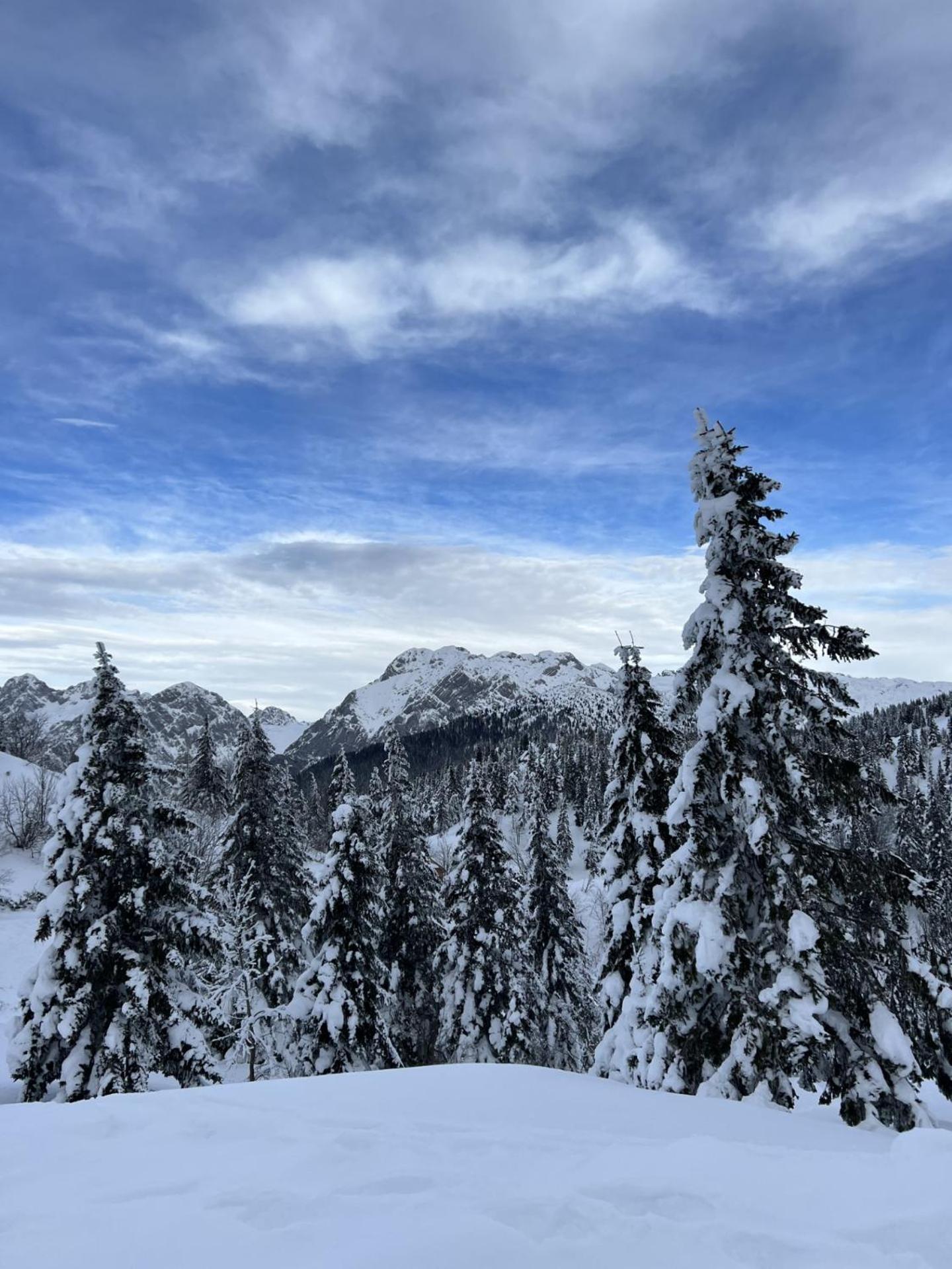 Chalet Orlica Velika Planina Stahovica Eksteriør bilde