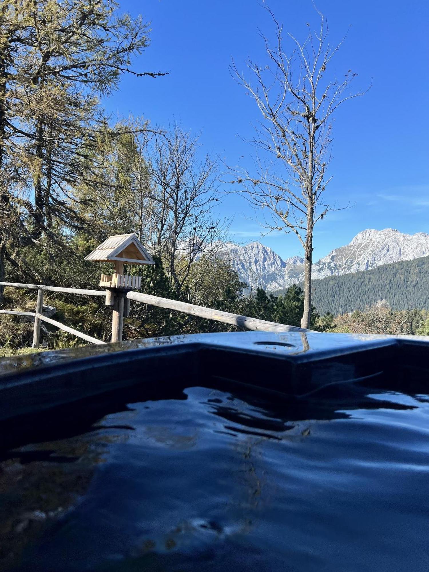 Chalet Orlica Velika Planina Stahovica Eksteriør bilde
